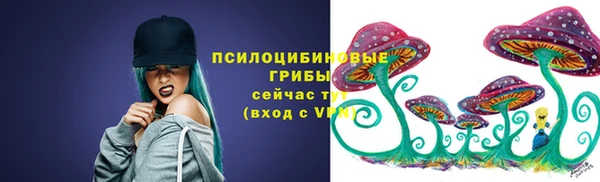 дмт Няндома