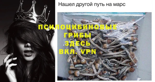 apvp Арсеньев