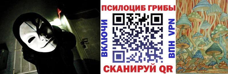 как найти наркотики  гидра ссылки  Псилоцибиновые грибы ЛСД  Талица 